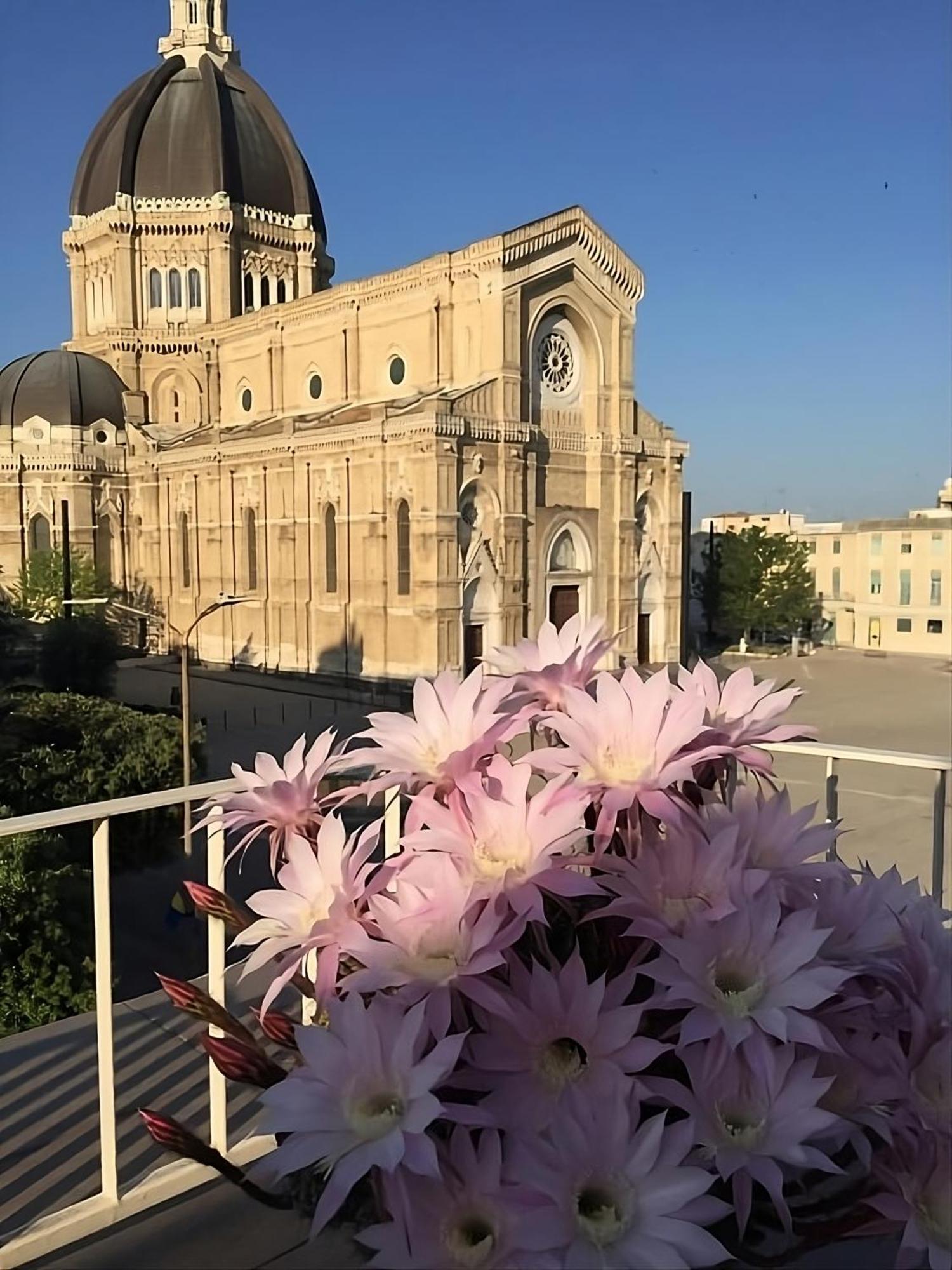 Suite Corso Roma Cerignola Eksteriør bilde